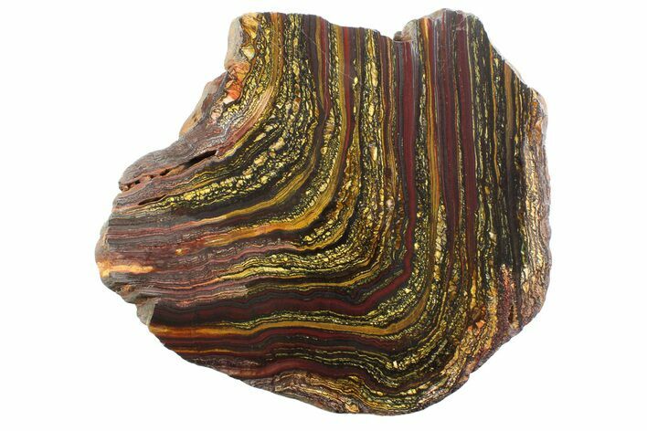 Polished Tiger Iron Stromatolite Slab - Billion Years #354950